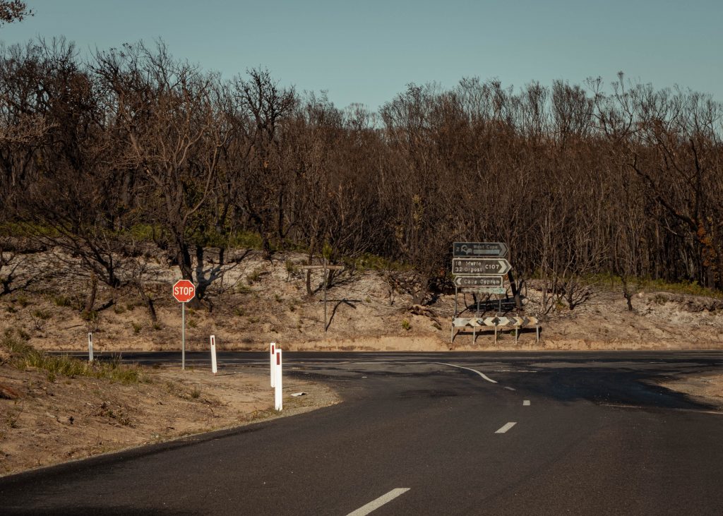 road-and-bush-burnt-from-australian-bushfire
